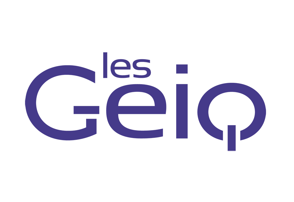 logo les geiq