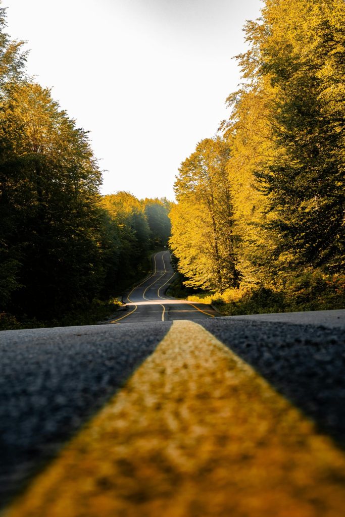 Route sinueuse bordée d'arbres aux feuilles jaunes en automne.