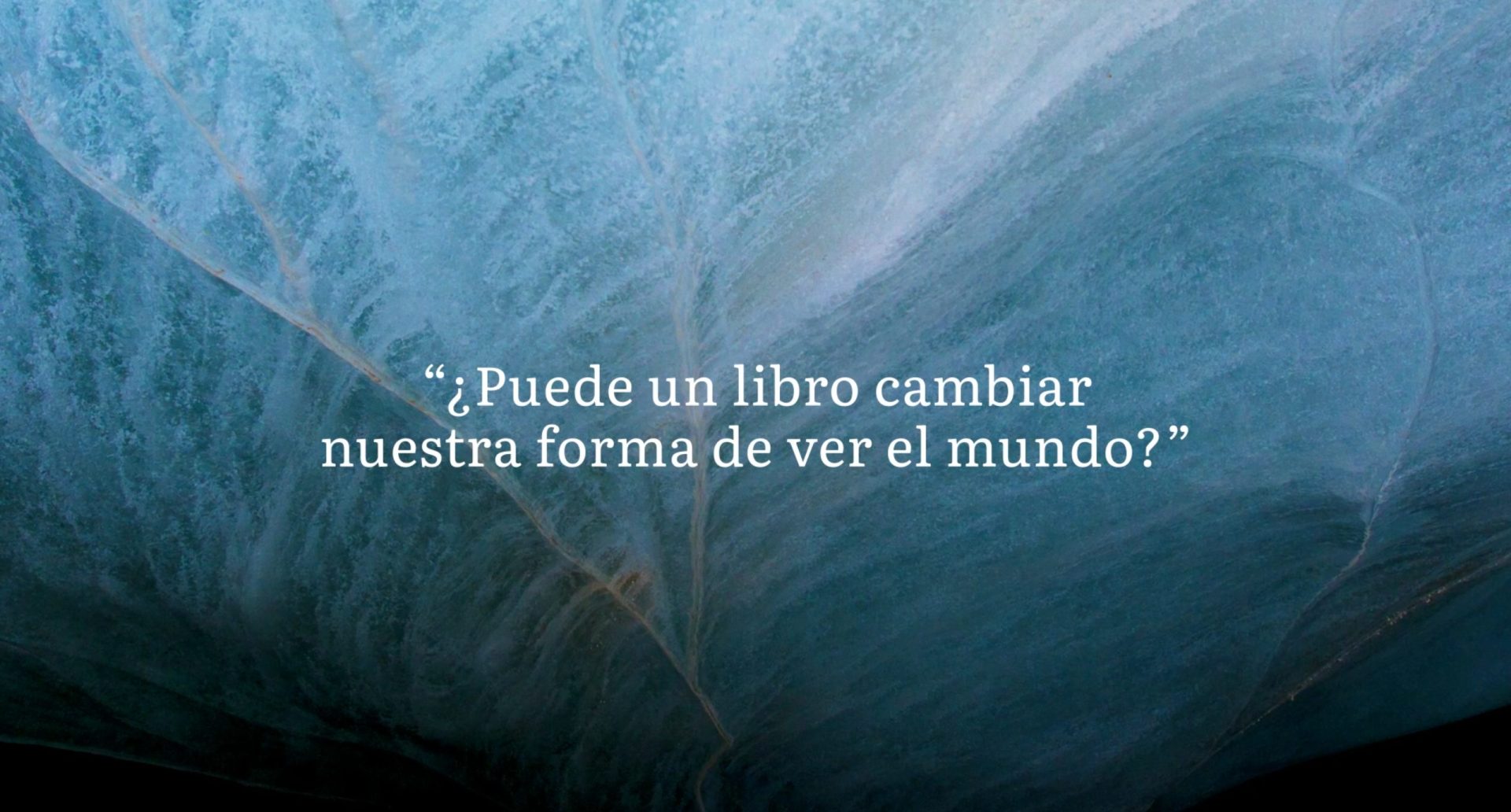 Teaser